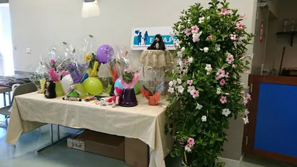 11412359 712978098814445 1484853177059595086 n