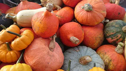 12002311 761777317267856 1645894205861529019 n