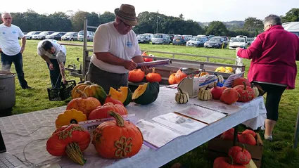 12009647 761777277267860 6719896765758490990 n