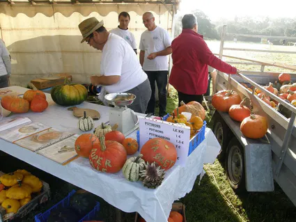 12016601 10205011299182785 1346565217 n