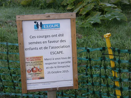 12048472 10205011293182635 1096468052 n