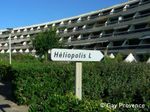 Heliopolis L