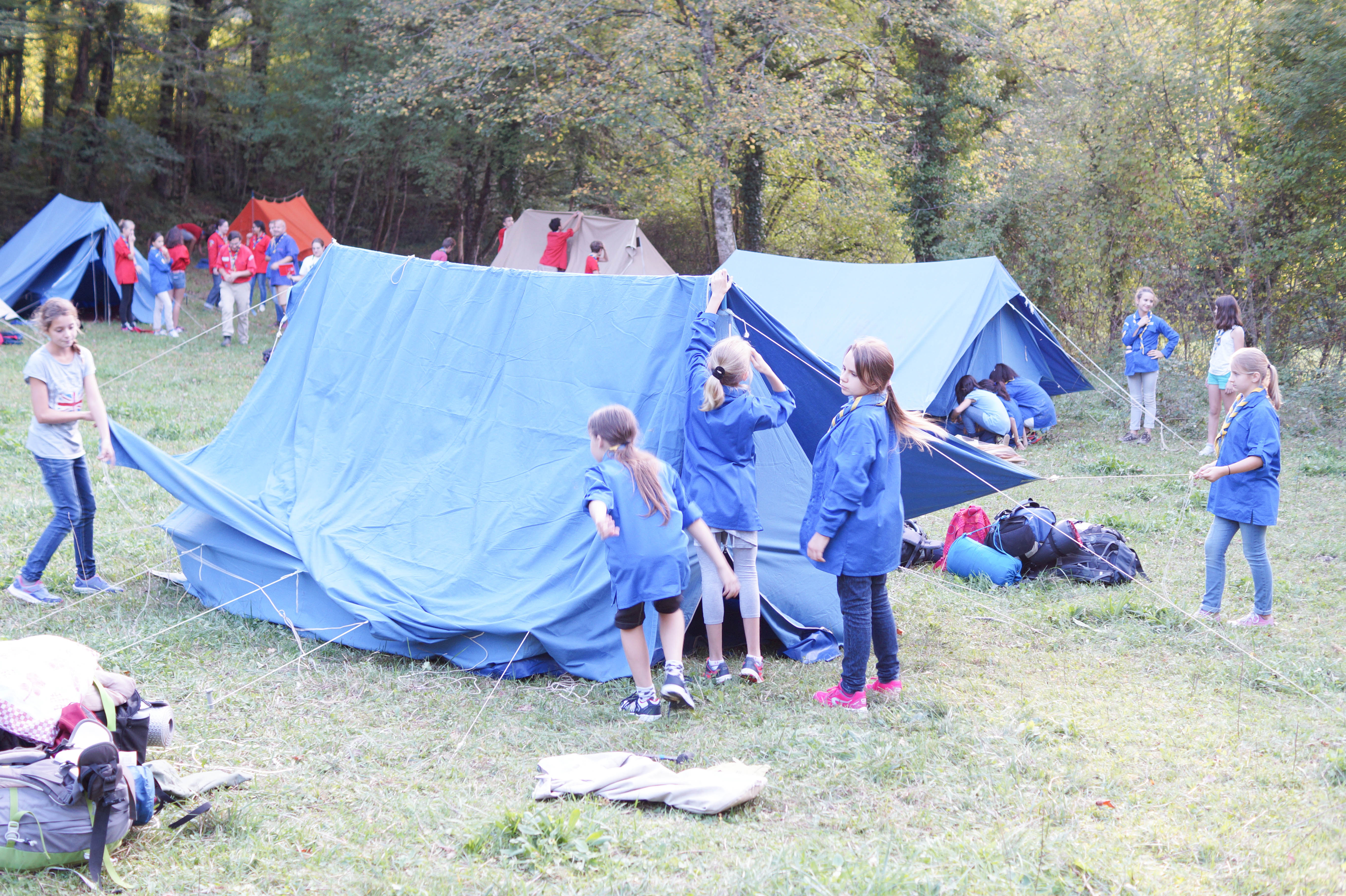 Scouts 39