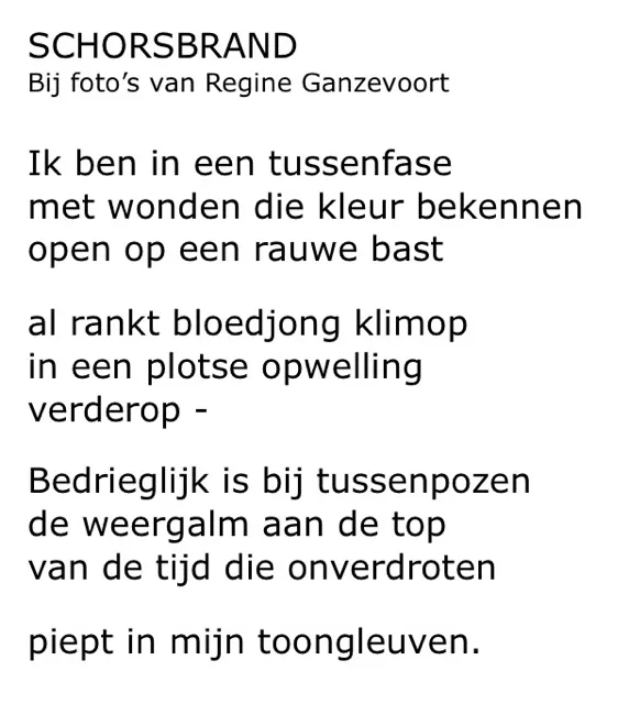 Schorsbrand uit water en wind