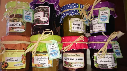 12162588 10205015519843781 248882473 o