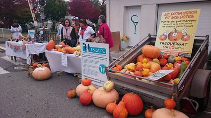 12077296 10204989898483263 1102482780 n