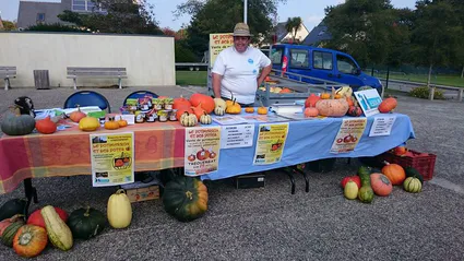 12003979 766117030167218 4437743821652045183 n