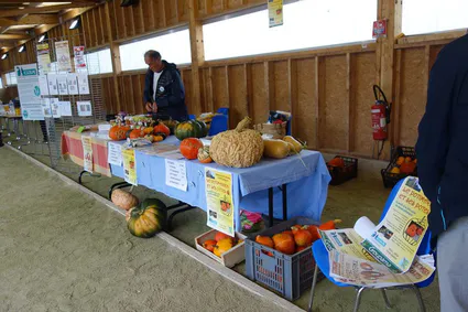 12088334 766641806781407 7170211524797684563 n