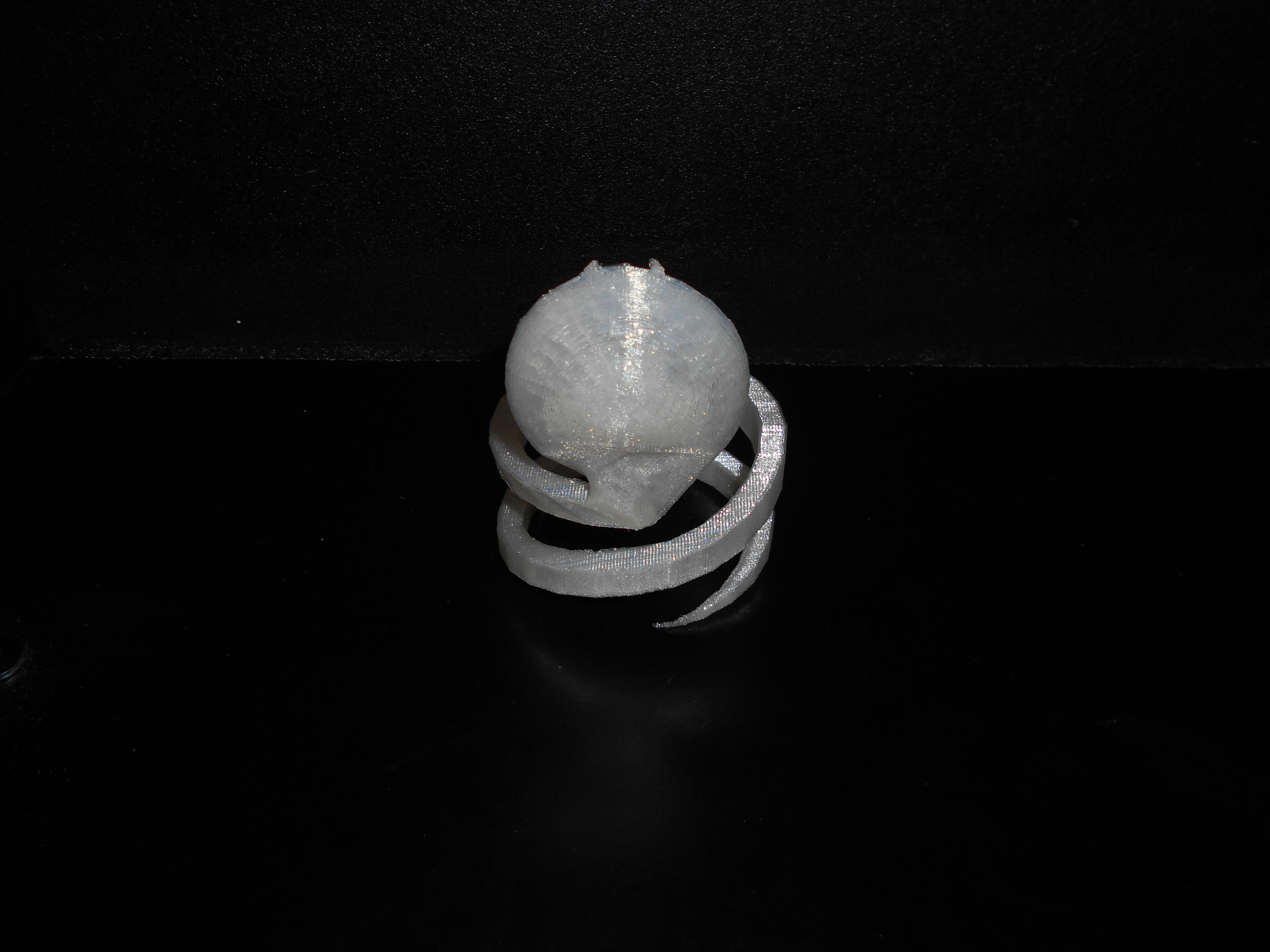 Dscn0345