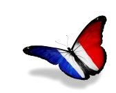 Francja konkurs motyl