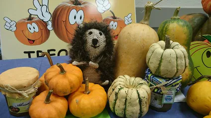 12062892 10205017646776953 1520064006 o