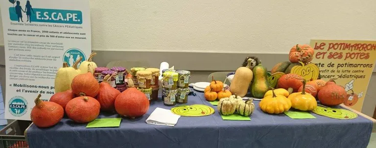 12119555 10205017656697201 1435139434 o