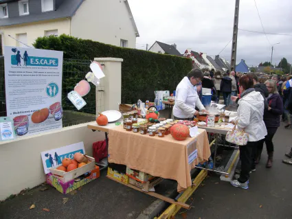 12235254 10205229033226000 1746449505 o