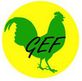 Logo gef
