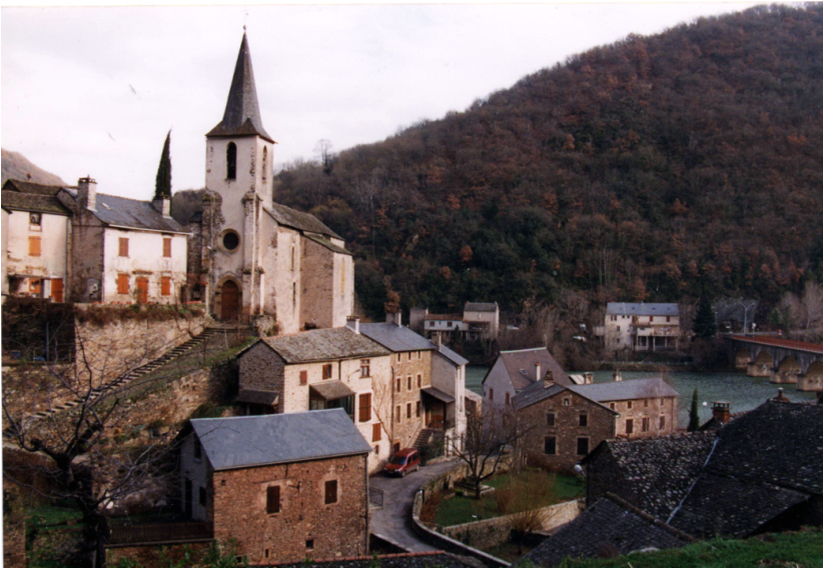 Image3