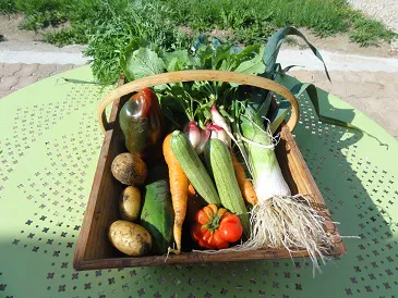 Panier du jardin 2