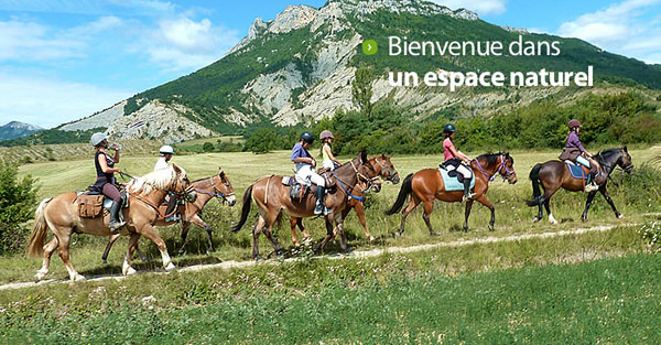 Equitation