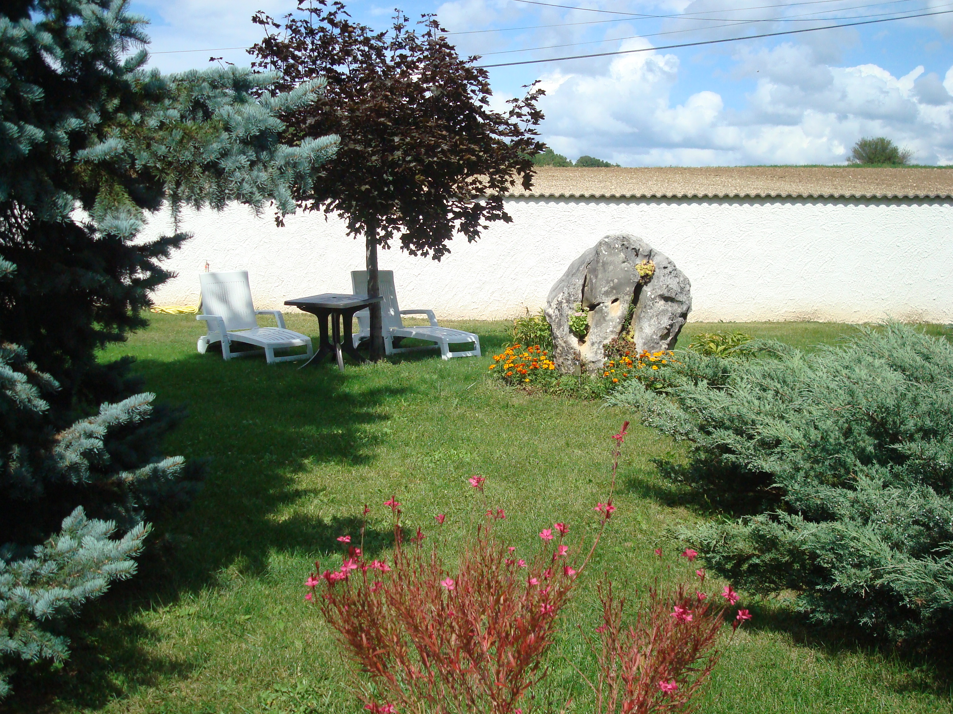 DSC02837