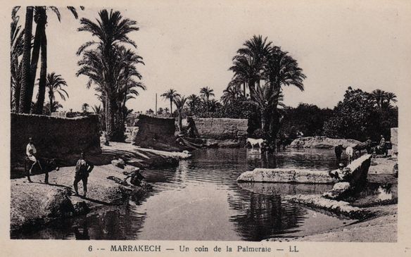 Marrakech coin de palmeraie