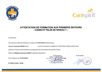 Attestation formation premiers secours ss date naissance