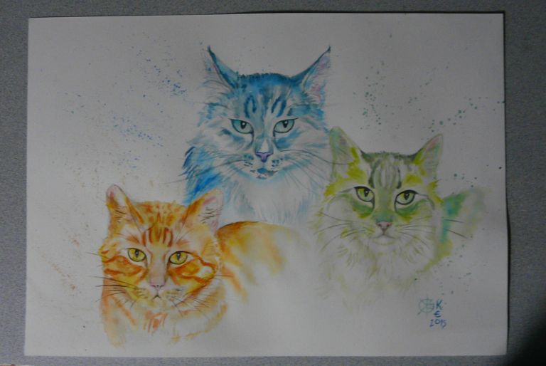 portrait de 3 chats réalisés à l'aquarelle avec photos et leur présence, pour capter leur personnalité et leurs caractéristiques....
un peu plus original et artistique celui là !