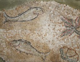 Mosaïque d'Orphée (détail) - Musée d'art et d'archéologie du Pays de Laon