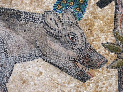 Mosaique d orphee laon detail 7 