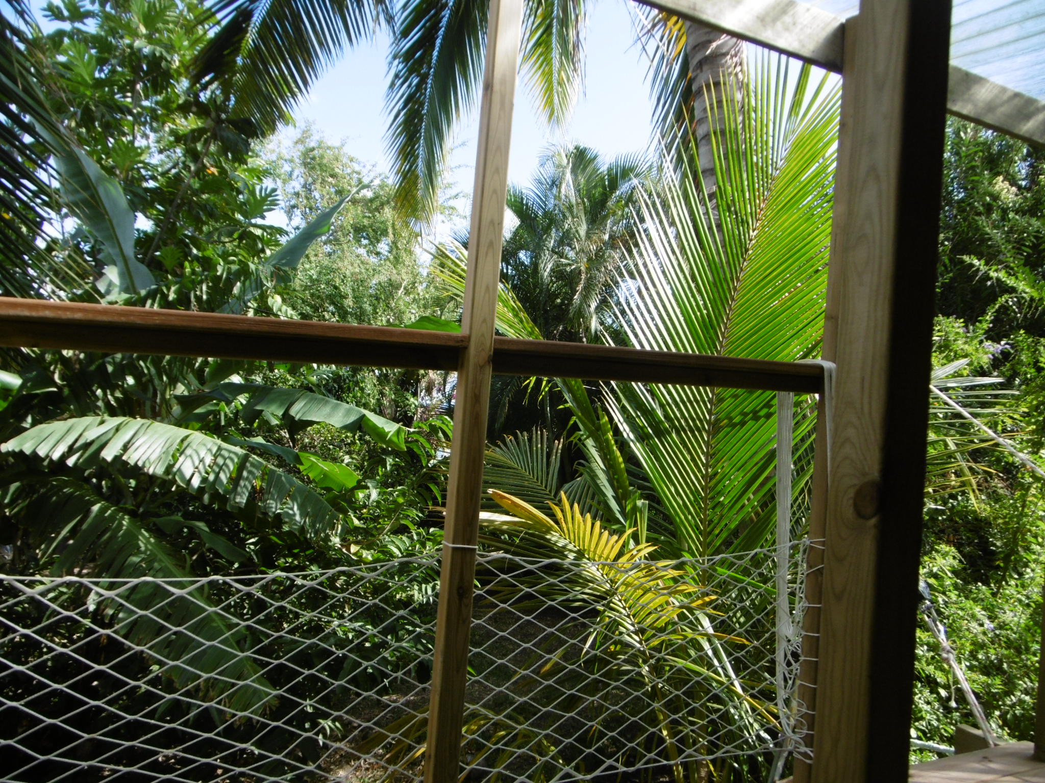 P1020068