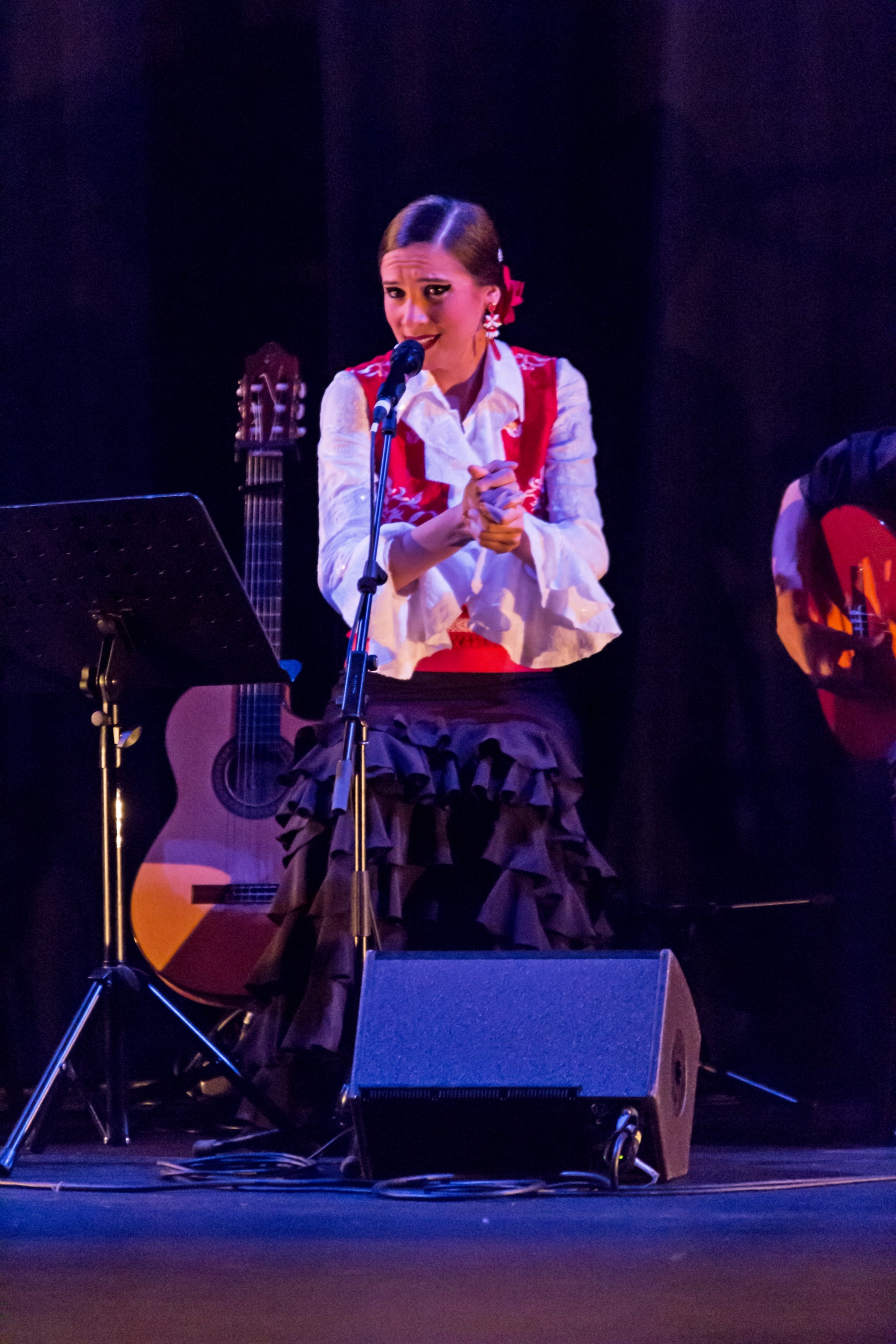 Flamenco 219 copie