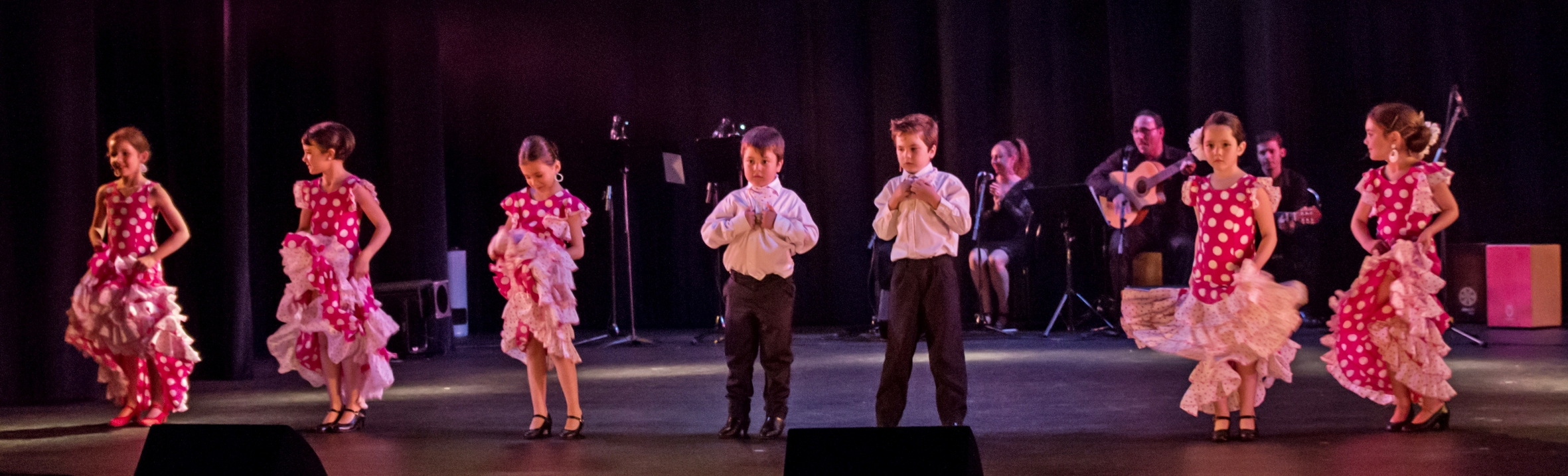 Flamenco 061 copie