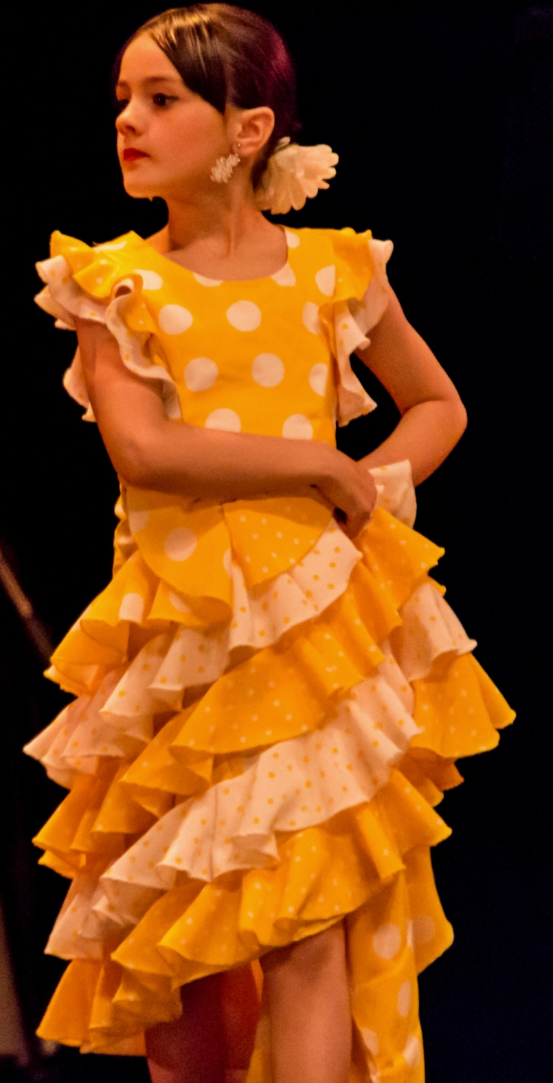 Flamenco 232 copie