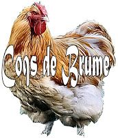 Logo COQS 2012 01