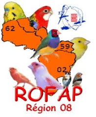 Logo rofap