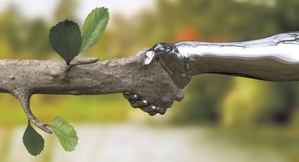 Ecologie de marche arbre main