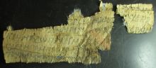 Picture 4 Papyrus after treatment