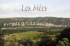 Images