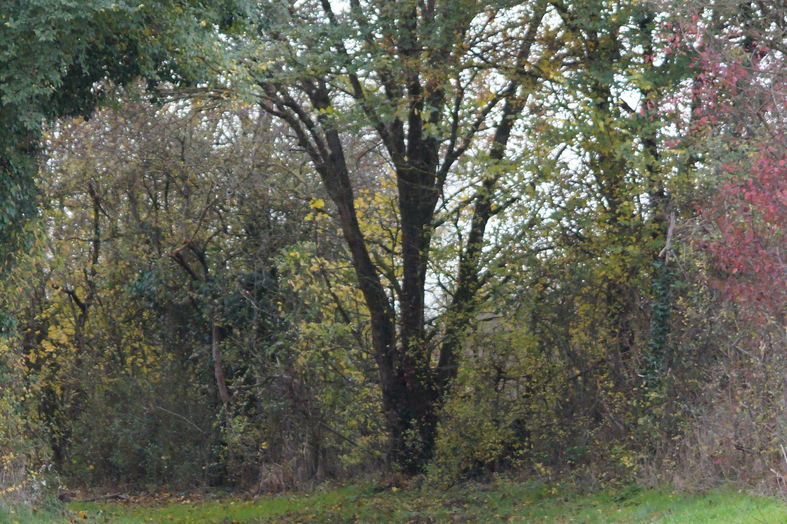 Dsc07228