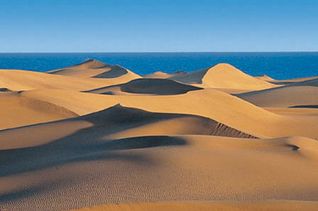 Dunes Mas Palomas