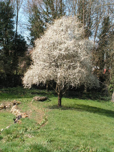 23 mars 2015 2 