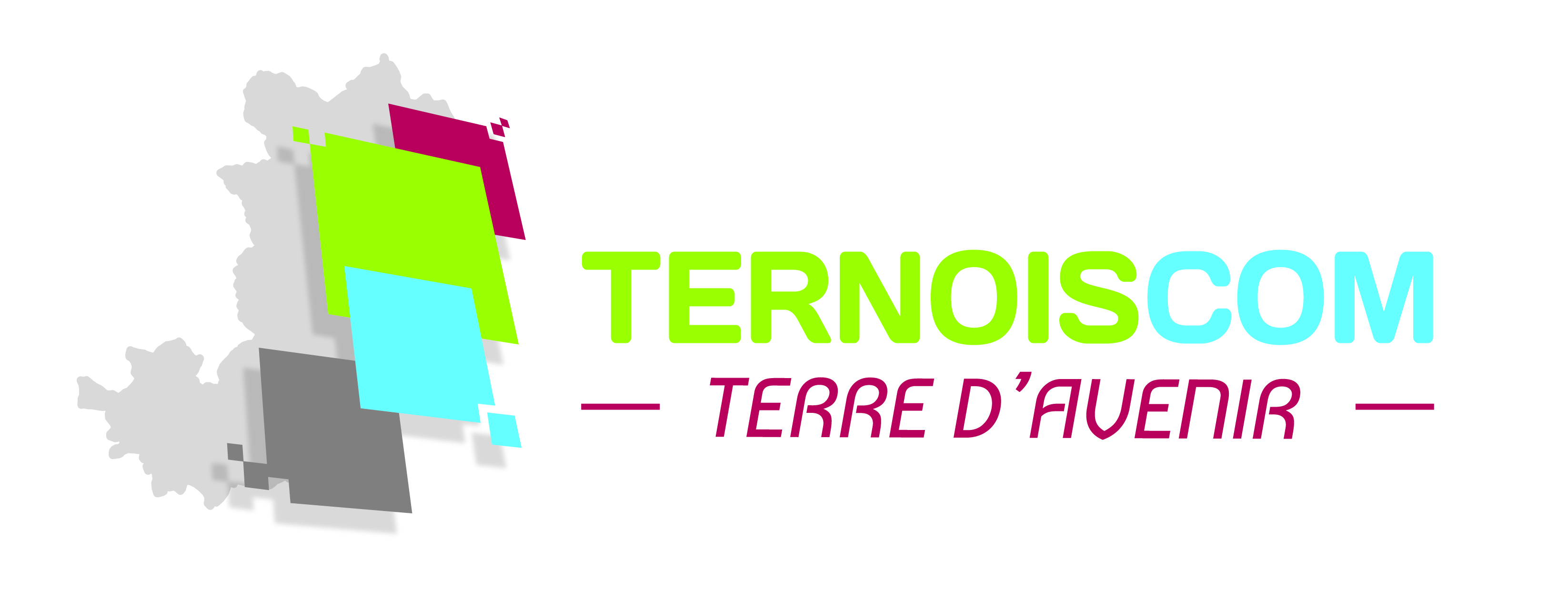LOGO ternoiscom