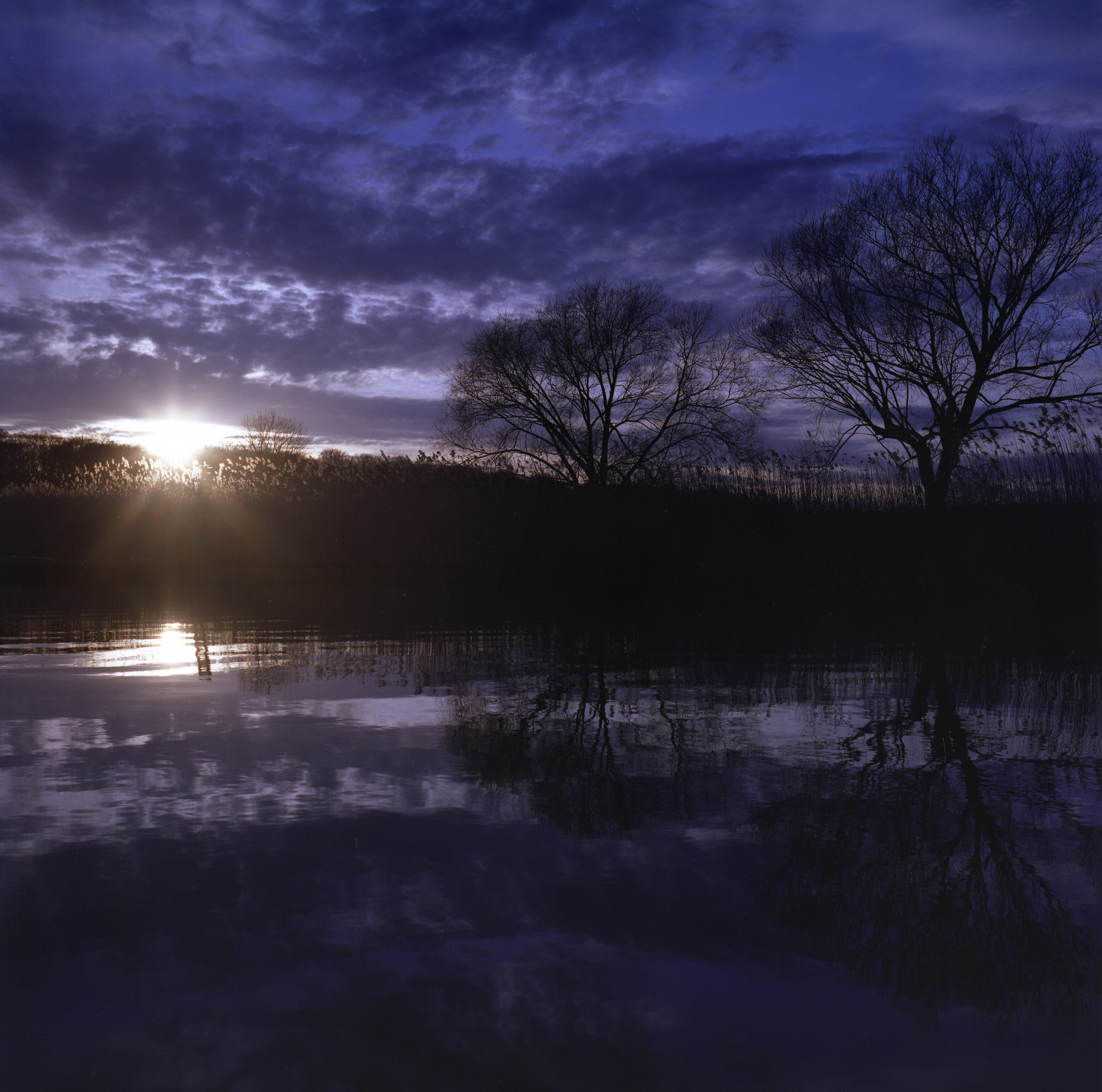 Etang6
