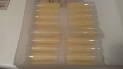 20170203 201941