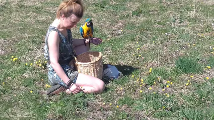20170409 130502
