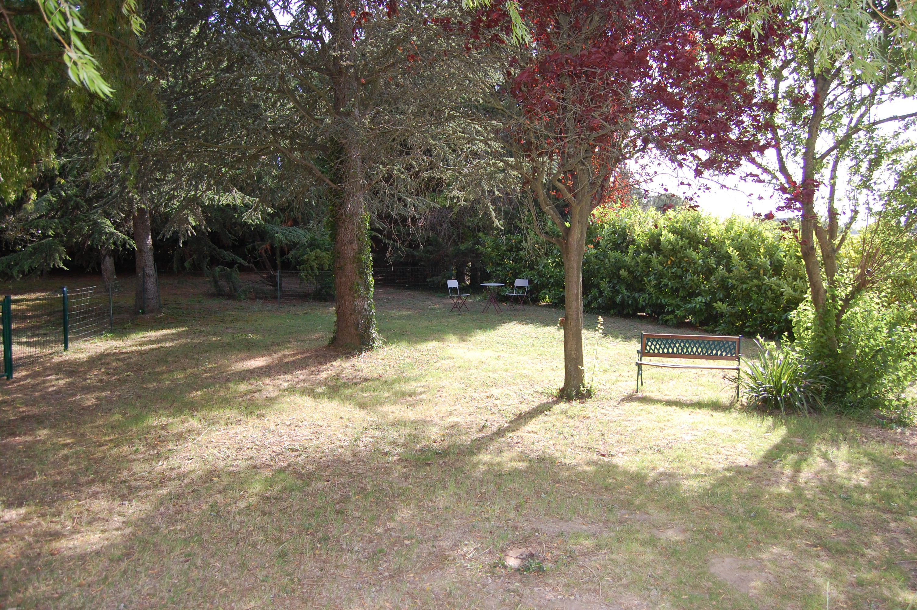 DSC 0149