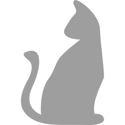 Cat gris