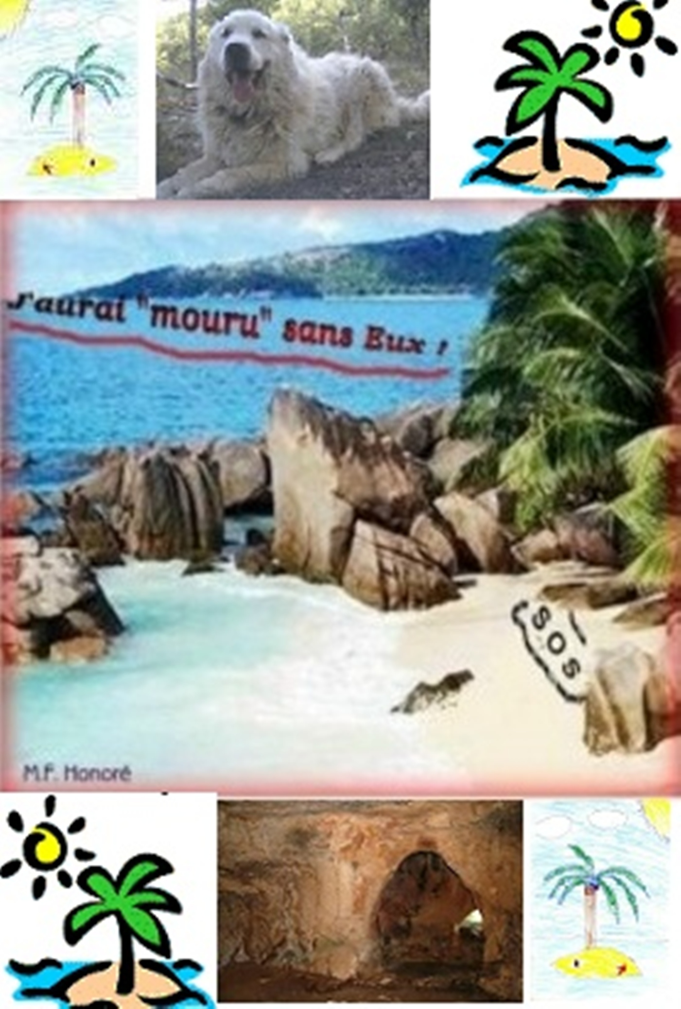 Ile transformee 1