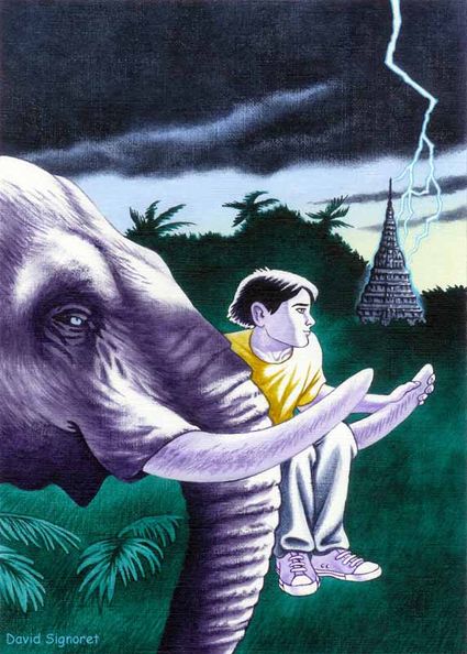 illustration-david-signoret-elephant