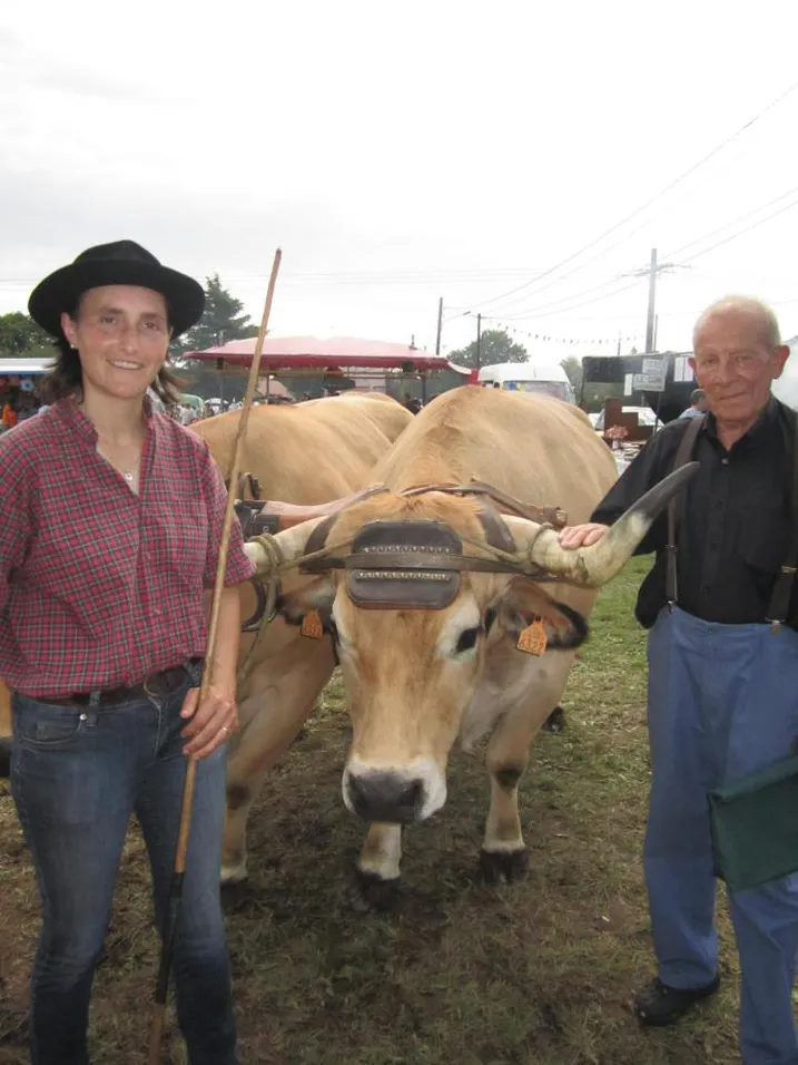 309605 233589133359474 1330775690 n 2