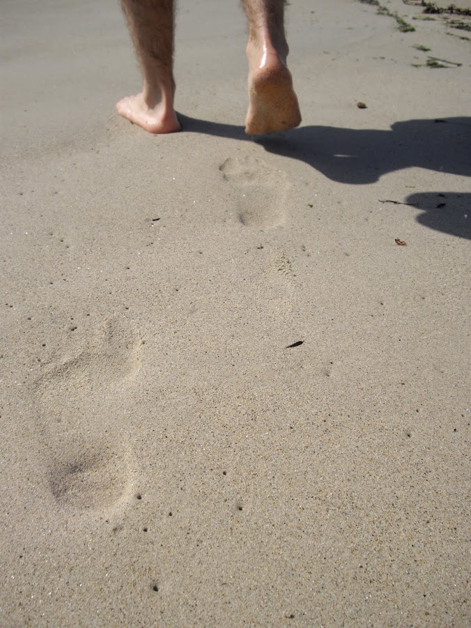 Pieds