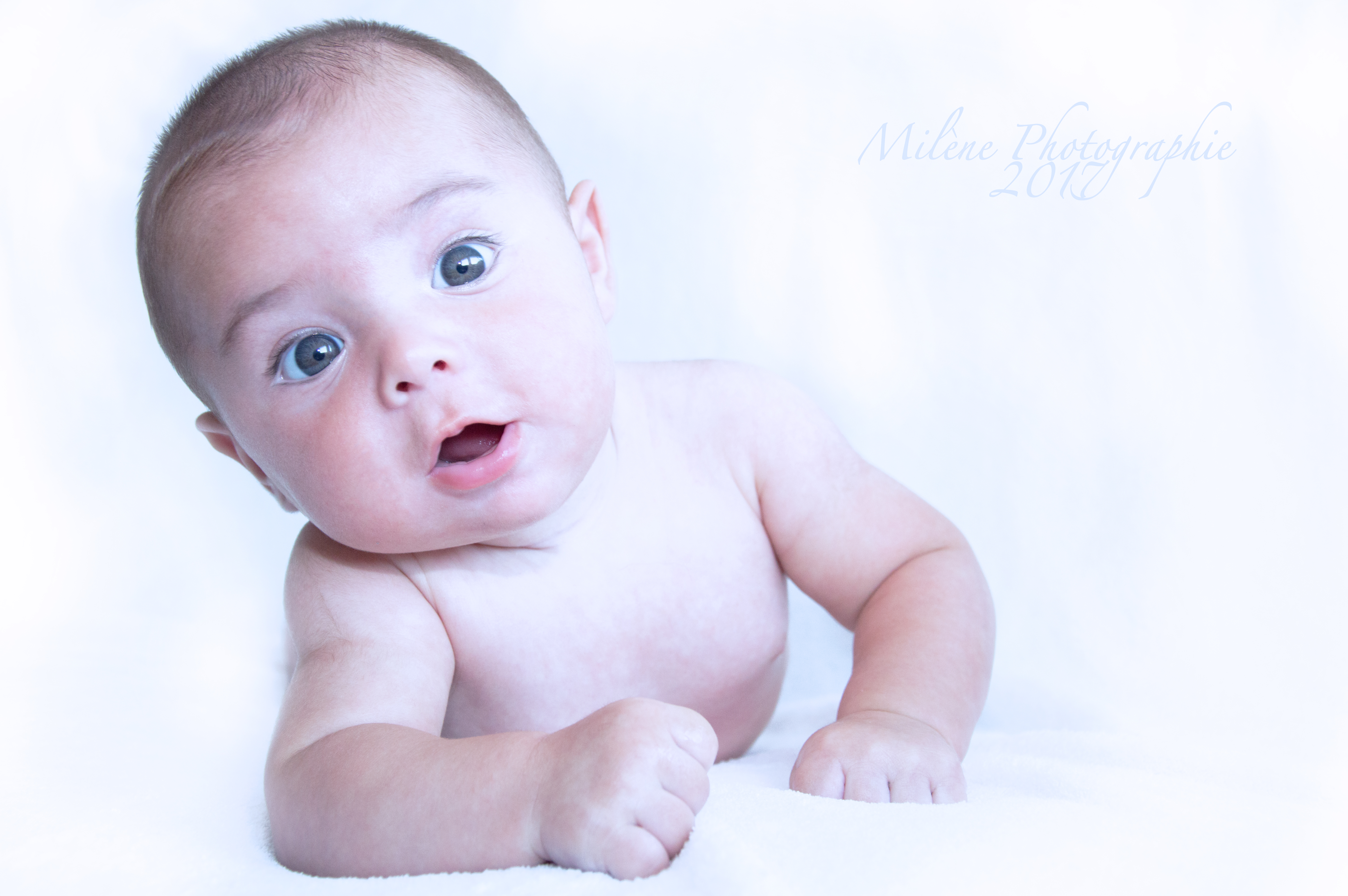 Dsc 0026rst